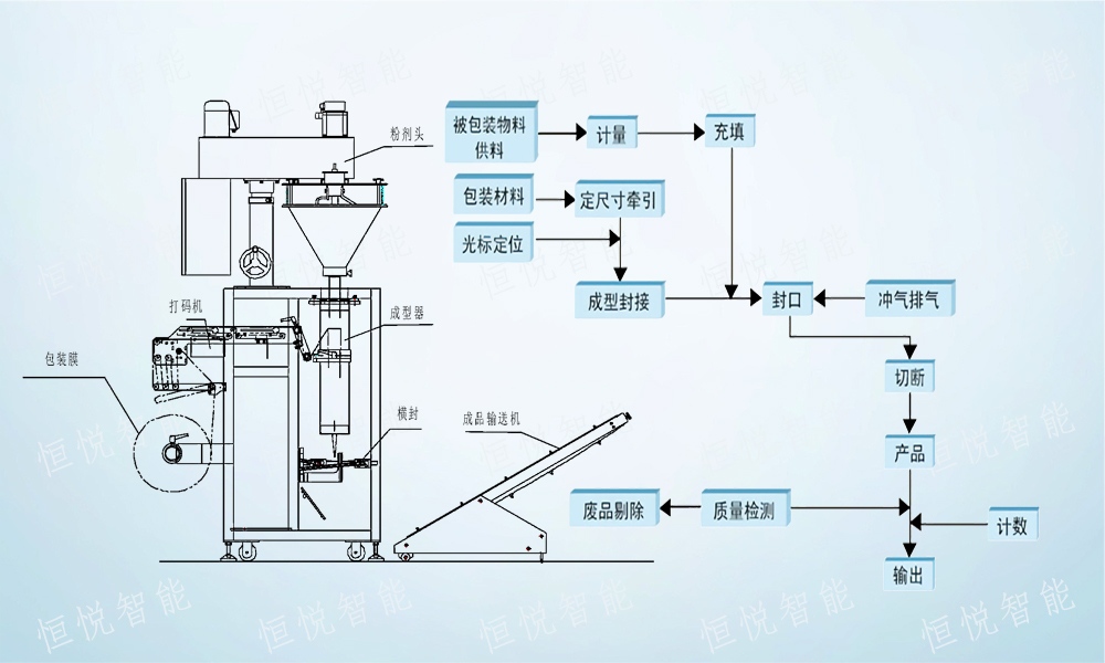 全自動草莓视频在线观看入口包裝流程解析