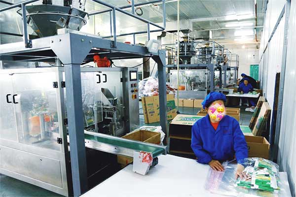 給袋式顆粒全自動草莓视频在线观看入口廠家
